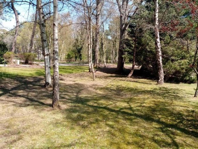Villa Les Lutins Le Touquet Экстерьер фото